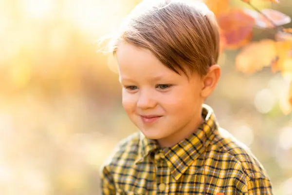 Autumn Portrait Little Fair Haired Smiling Boy Yellow Shirt Park Stock Image