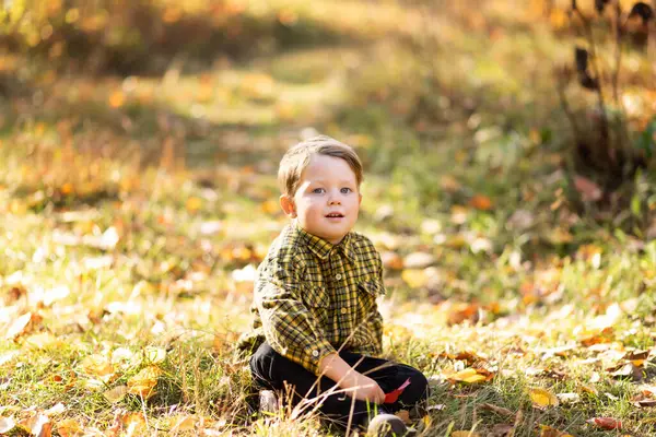 Small Fair Haired Cute Boy Checkered Yellow Shirt Sitting Lawn Stock Photo
