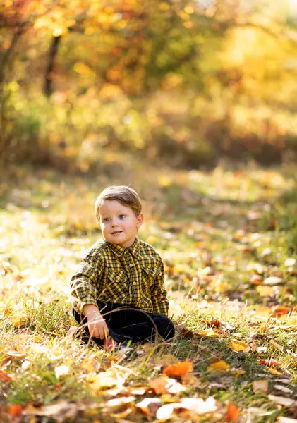 Sarı Tişörtlü Küçük Sarı Saçlı Bir Çocuk Sonbahar Ortalarında Çimlerin - Stok İmaj