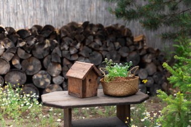 Bahçedeki bir masada bir kap Alisumoa çiçeğiyle ahşap besleyici.