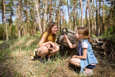 Ormanda büyüteçle ağaçların yanında oturan iki neşeli kız öğrenci.