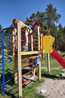 Okul çağındaki çocuklar şehir dışındaki bir çam ormanının yakınındaki parkta eğleniyorlar. Yaz tatili 