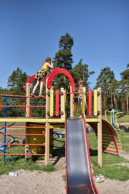 Okul çağındaki çocuklar şehir dışındaki bir çam ormanının yakınındaki parkta eğleniyorlar. Yaz tatili 