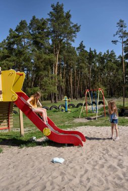 Okul çağındaki çocuklar şehir dışındaki bir çam ormanının yakınındaki parkta eğleniyorlar. Yaz tatili 