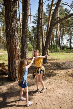 Çam ağacından atlayan iki küçük kız