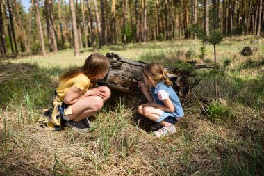 Ormanda büyüteçle ağaçların yanında oturan iki neşeli kız öğrenci.