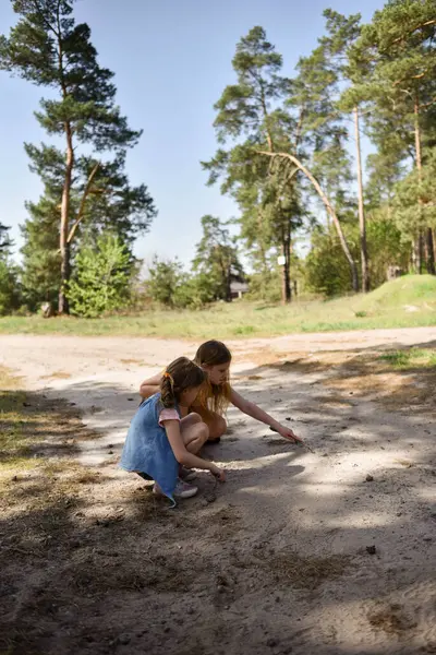 Çam ormanında bir yolda oynayan iki okul çağındaki kız.