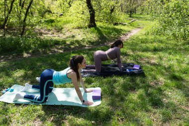 Parktaki minderlerde yoga yapan iki genç kız arkadaş.