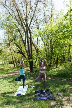 Parktaki minderlerde yoga yapan iki genç kız arkadaş.