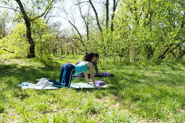 Parktaki minderlerde yoga yapan iki genç kız arkadaş.