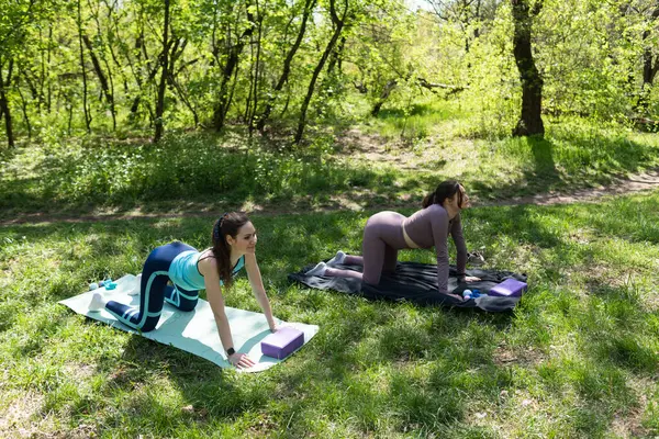 Parktaki minderlerde yoga yapan iki genç kız arkadaş.