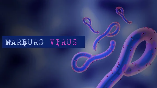 Marburg Virus Marv Illustration Text Infectious Disease Can Cause Outbreaks — Stock Photo, Image