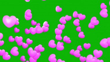 Yeşil Ekran Krom Anahtar Arkaplanlı 3D Renkli Pembe Kalpler Yükseliyor ve Yüzüyor. Aşk ve Düğün Kavramları için Mükemmel Sevgililer Günü Animasyonu