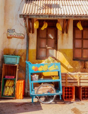 Florida Tema Parklarının Güzel Manzaraları