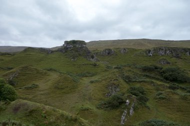 Arkadaki tepelerde güzel bir yeşil çimen görüntüsü.