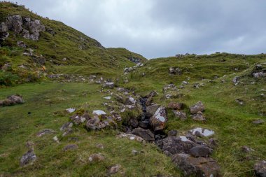 Bulutlu bir günde yeşil çimenler ve taşlarla dolu güzel manzaranın dikey görüntüsü.