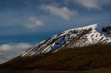 Karla kaplı ağaçlarla kaplı dağ manzarası
