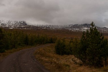 Arka planda karla kaplı bir dağ manzarasında yol