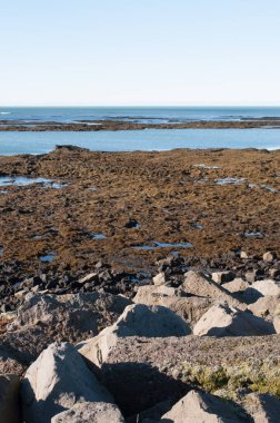 İsrail 'in kuzeyinde güzel bir deniz manzarası.