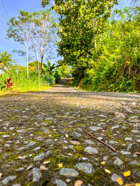 Dağlık bir ormanda dar bir yolun dikey görüntüsü.