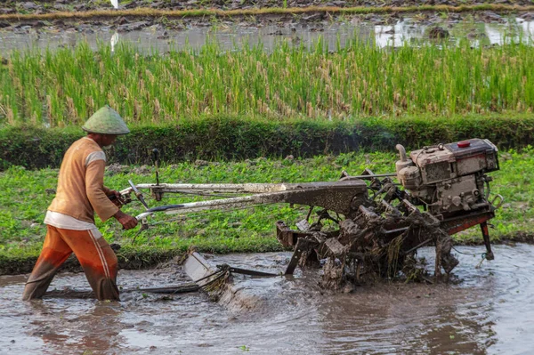 stock image Imogiri, Yogyakarta. July 28, 2022. A male farmer is plowing a field using a tractor. Farmers plow the fields in the morning with tractors accompanied by cranes