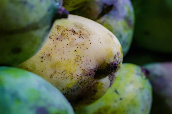 stock image Food background of a Variety of fresh Mango Fruits at the weekly Market. A closeup shot of a pile of ripe mangos at a market