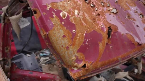 Primo Piano Bruciato Cappuccio Rosso Auto Con Fori Proiettile All — Video Stock