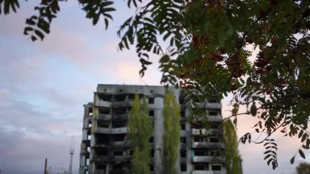 Ukraine Kyiv Października 2022 Wieczorem Skupienie Uwagi Liści Drzew Zrujnowanego — Wideo stockowe
