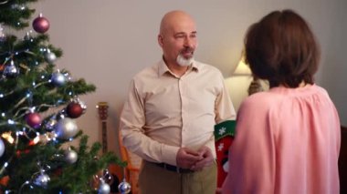 Evde sinirli bir kadınla birlikte yakışıklı beyaz bir adam Noel çorabıyla kocasını dövüyor. Hayal kırıklığına uğramış koca ve tatminsiz karısı Noel arifesinde evde. Çatışmalar ve tatiller