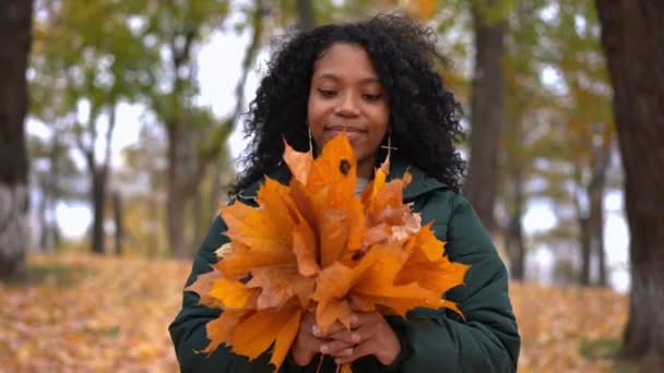 Nadšená Bezstarostná Mladá Žena Házející Spadlé Listí Stojící Uličce Parku — Stock video