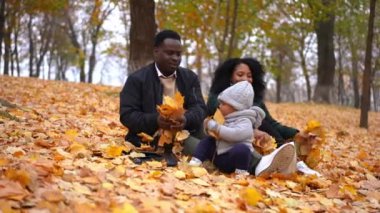 Neşeli genç baba ve anne sarı yapraklar fırlatıyor sonbahar parkında küçük oğluyla eğleniyorlar. Afro-Amerikan erkek ve kadın kaygısız bir şekilde açık havada oğlanlarla eğleniyor.
