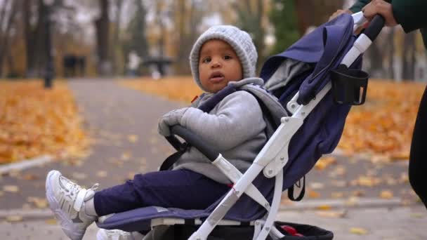 Kamera Żywo Krąży Wokół Wózka Dziecięcego Ciekawostkami Afroamerykańskiego Chłopca Rozglądającego — Wideo stockowe