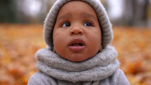 Headshot Curios Cheerful African American Little Boy Toothy Smile Looking — Stock Video
