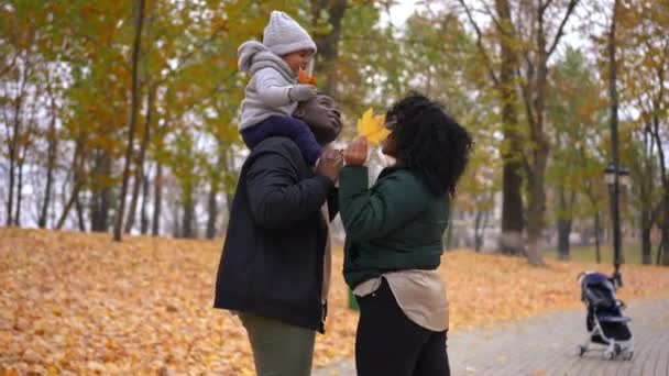 Погляд Радісну Афроамериканську Матір Яка Грає Жовтих Листках Веселим Сином — стокове відео