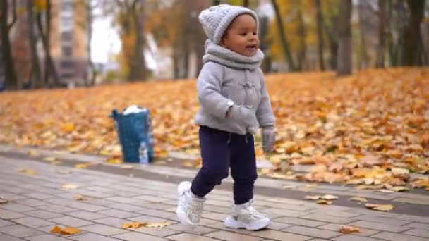 快乐可爱的蹒跚学步的男孩微笑着沿着公园小巷走着 秋天的一天 非洲裔美国儿童在户外散步 背景上母亲模糊 全景全景全景 — 图库视频影像