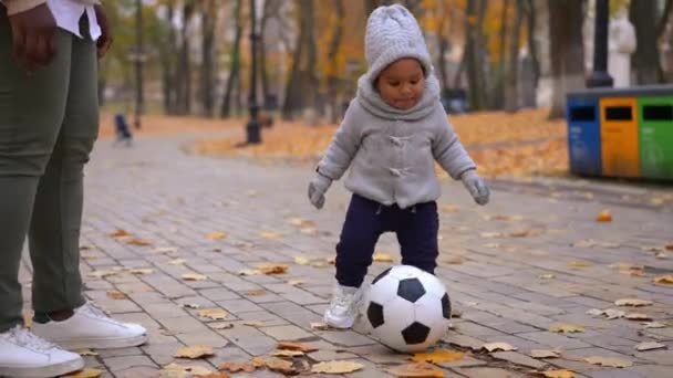 Tracking Shot Curios Playful African American Toddler Boy Playing Soccer — Stock Video