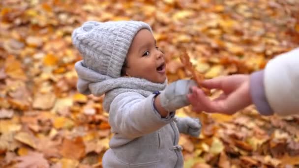 幸せな幼児の少年の肖像画は 認識できない女性の屋外に黄色の葉を渡します 秋の公園でレジャーを楽しんでいるリラックスしたアフリカ系アメリカ人の子供を笑顔 — ストック動画