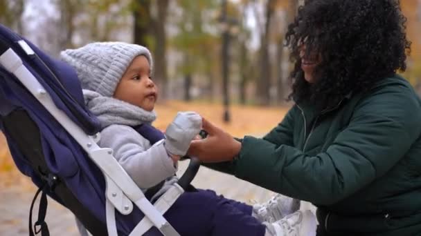Bebek Arabasındaki Yakışıklı Afro Amerikan Çocuk Çocukla Konuşurken Gülümseyen Bulanık — Stok video