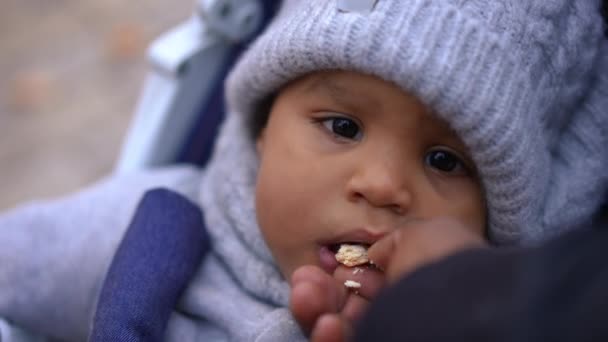 Vesikalık Fotoğraf Bebek Arabasındaki Tatlı Afro Amerikan Çocuk Kadın Eli — Stok video