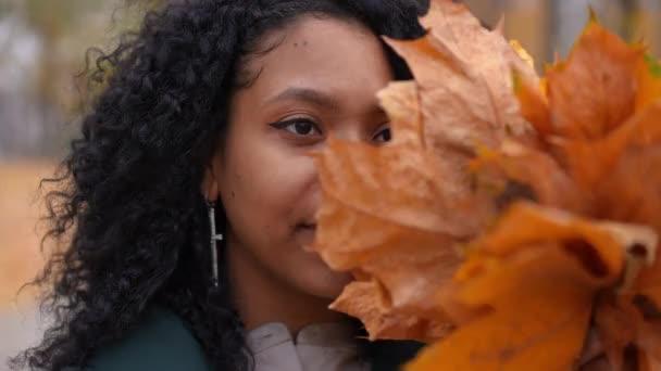 Приваблива Молода Жінка Купою Жовтих Листків Посміхається Дивлячись Камеру Стоїть — стокове відео
