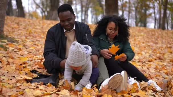 在秋天的公园里 一个悠闲快乐的年轻非洲裔美国家庭坐在地上玩黄叶的全景画像 积极的男子 妇女和幼儿在户外享受休闲 — 图库视频影像