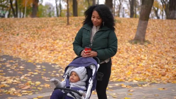 秋の公園でコーヒーカップを片手に立っている若い女性は ベビーカーの中で幼児の男の子と話しています 自信に満ちたアフリカ系アメリカ人の母親の肖像屋外で息子と休んで — ストック動画