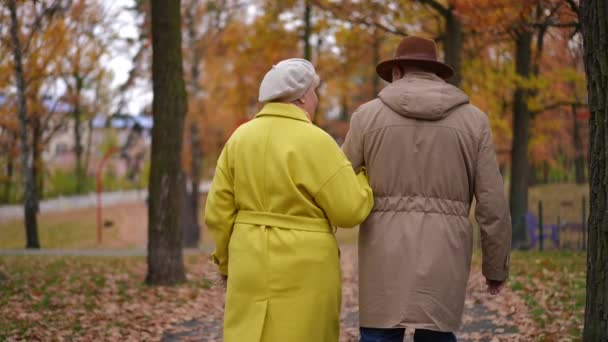ライブカメラは 秋の公園の路地を歩く幸せなリラックスした高齢者のカップルに続きます バックビューの愛白人夫と妻日付屋外散歩でスローモーション — ストック動画