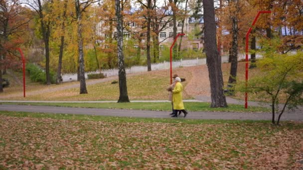 Ekstremalne Szerokie Ujęcie Kochającej Się Pary Seniorów Spacerujących Jesiennym Parku — Wideo stockowe