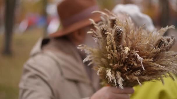 Крупный План Пшеничного Снопа Размытыми Пожилыми Парой Целующимися Заднем Плане — стоковое видео