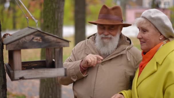 Casal Sênior Positivo Falando Colocando Nozes Alimentador Esquilo Parque Cidade — Vídeo de Stock