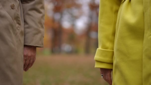 Pozadí Rozmazaného Podzimního Parku Zpomaleném Záběru Pohybují Nepoznatelní Důchodci Milující — Stock video