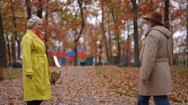 Podzimní Park Šťastným Starším Mužem Ženou Kteří Sobě Vcházejí Objímají — Stock video