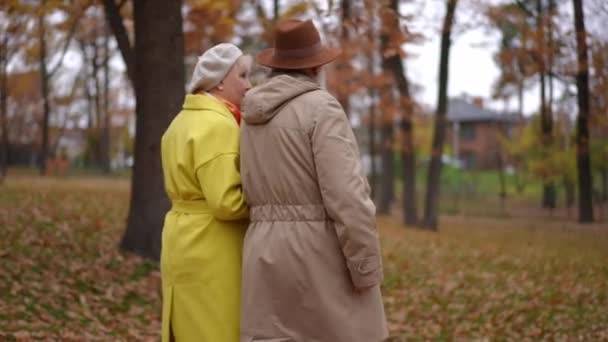 秋の公園で話して歩く古い白人夫婦のサイドビュートラッキングショット スローモーションチャットで腕の中で腕を歩く幸せなリラックスした男と女 老いと愛の概念 — ストック動画