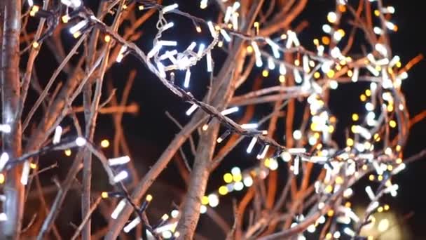 Guirnalda Navidad Iluminada Colgando Árbol Ciudad Nocturna Aire Libre Decoración — Vídeos de Stock
